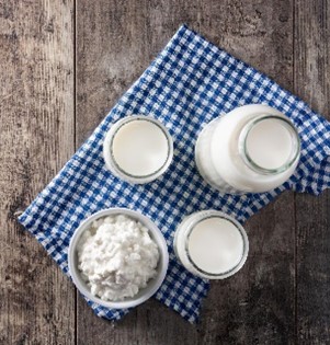 Aliments riches en probiotiques naturels