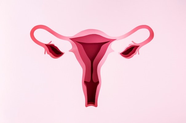 Douleurs menstruelles